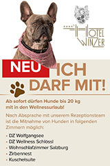 Urlaub mit dem Hund im Hotel Winzer